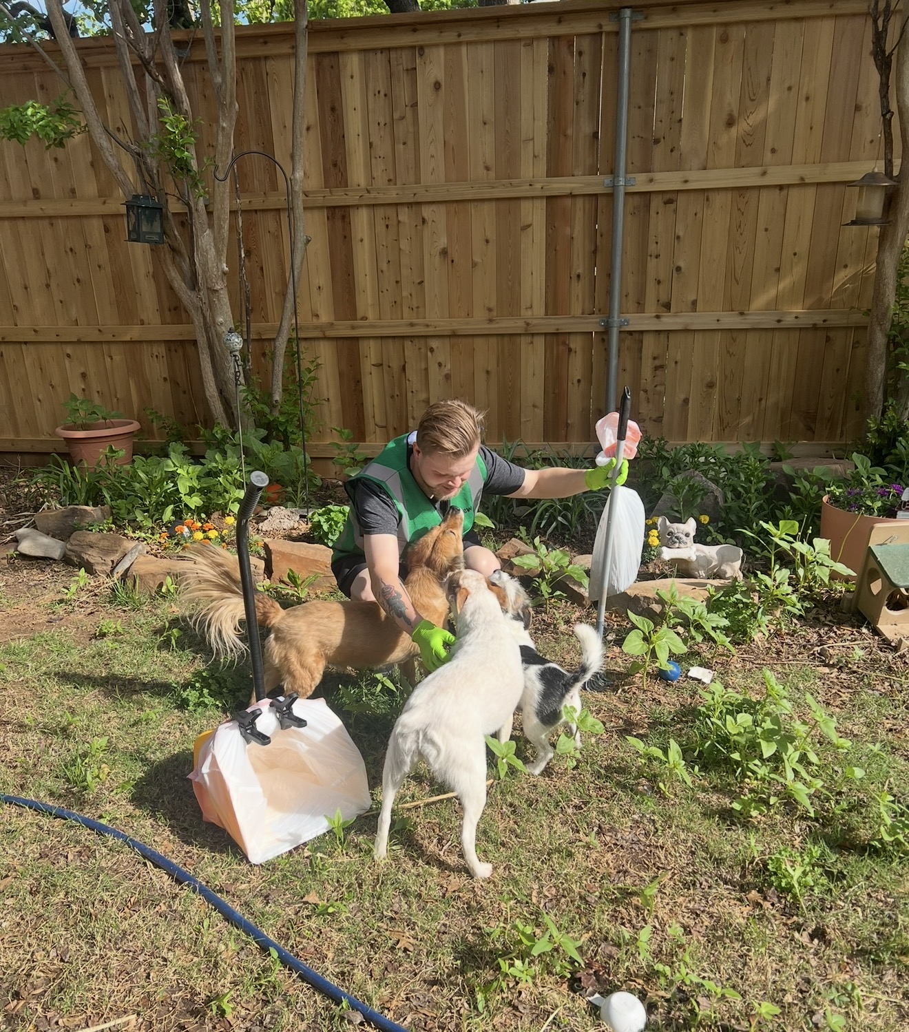 EW Crew team member kneeling with three dogs during a backyard cleanup